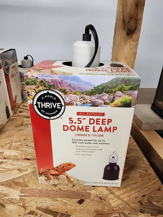 5.5 deep dome lamp