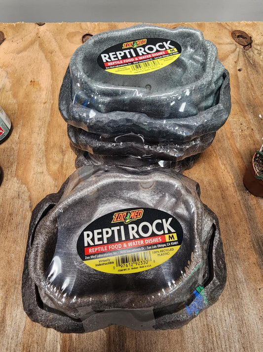 Reptile food and water dish 2 pack