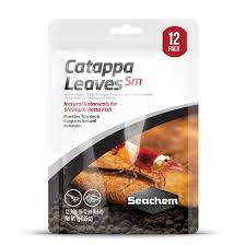 Catappa Leaves Small 12-pack